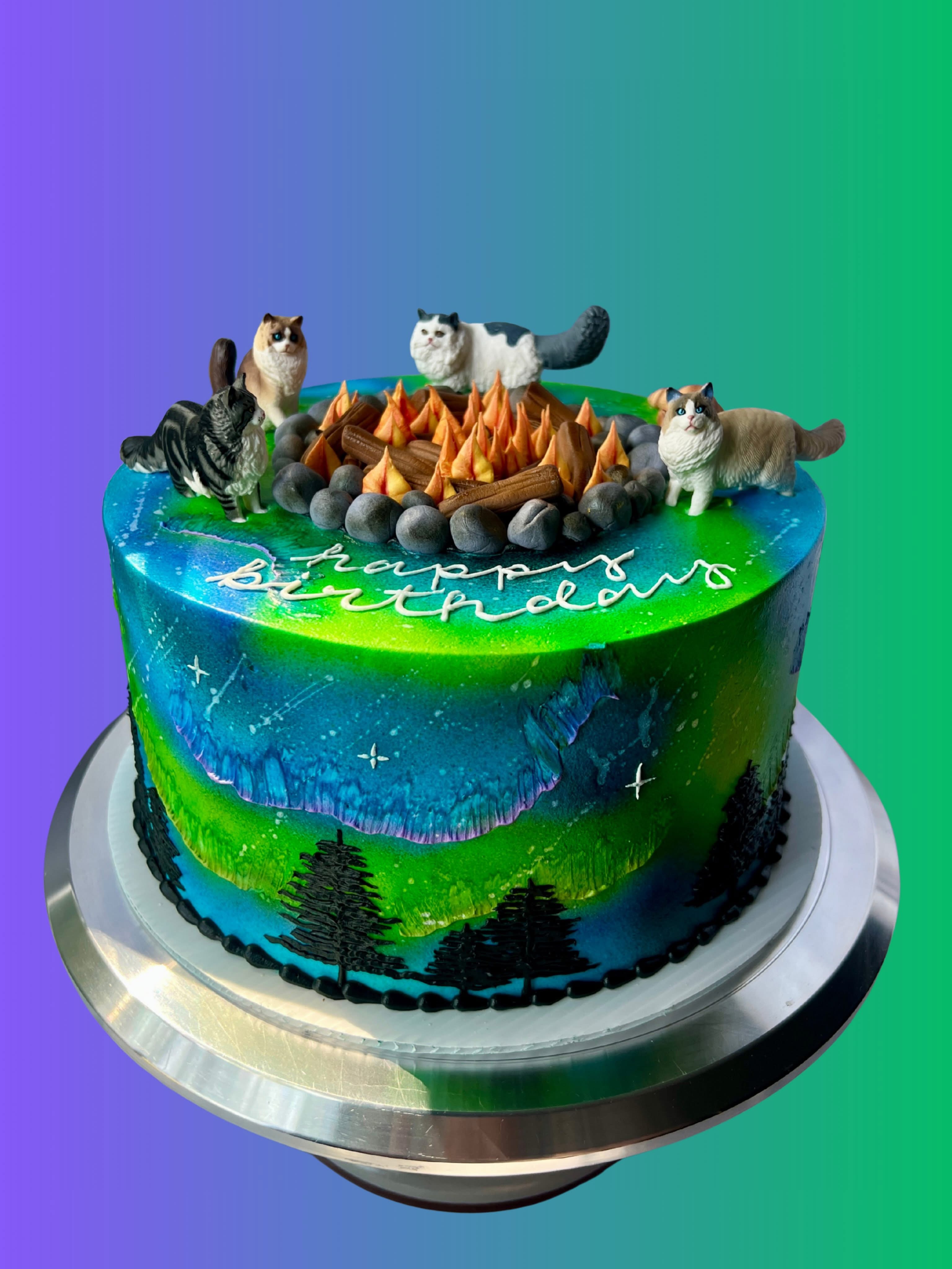 Northern lights and campfire cat cake